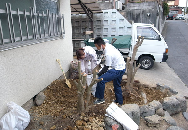 DIYの様子／植栽撤去