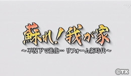 テレビ東京「ガイアの夜明け」 2009年10月27日放送2015年08月27日放送 テレビ番組出演 - #2